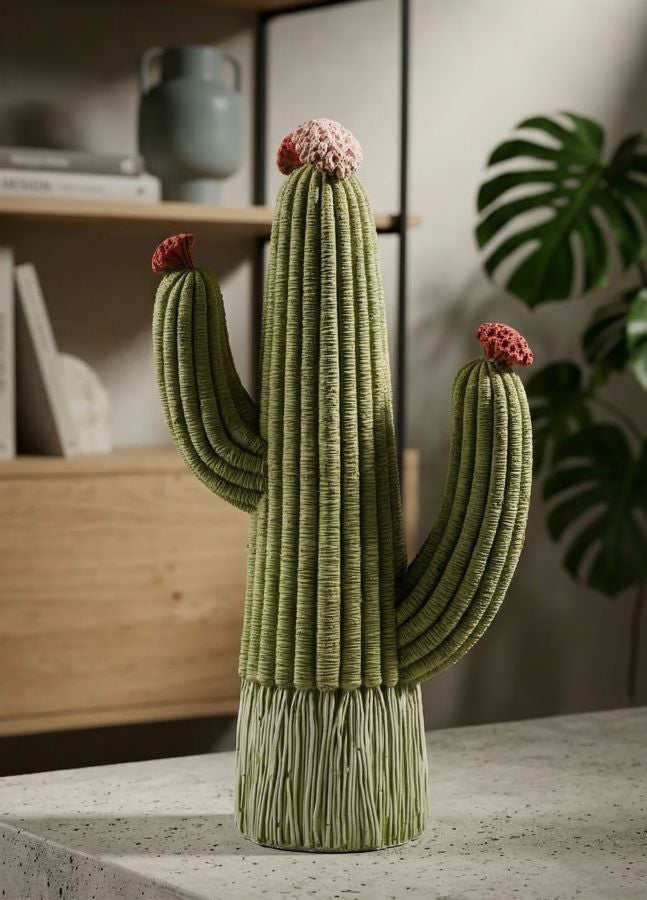 Cactus - foto 6