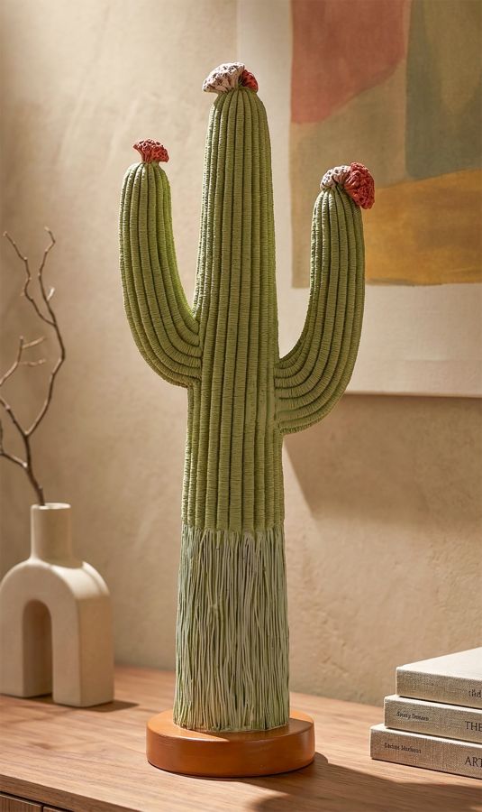 Cactus - foto 7