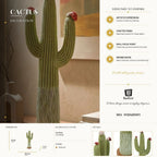 Cactus - foto 9
