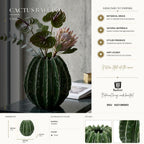 Vaso Cactus Ball - foto 7