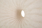 Lampada da tavolo Anemone - foto 5
