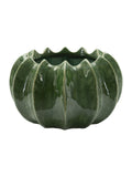 Cachepot in ceramica verde, Ø22x13,5 cm – Cactus