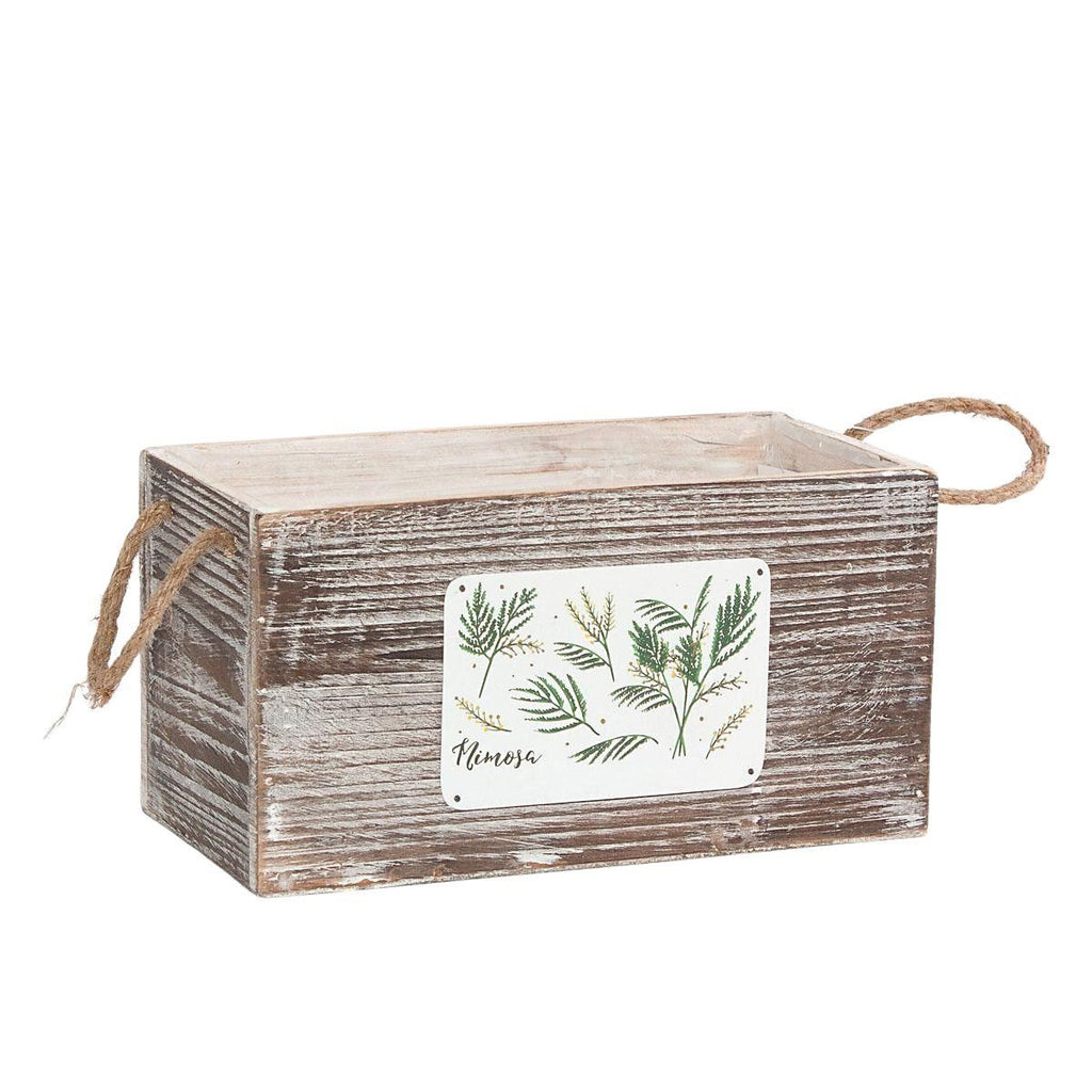 Portavaso in legno di abete e corda Mimosa, 25x12,5x13 cm (kit da 5)