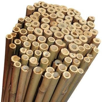 Canna in bambu', 100 cm x 10/12 mm (kit da 10)