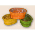 Vaschetta mais + fascia carta, 33x23x14 cm