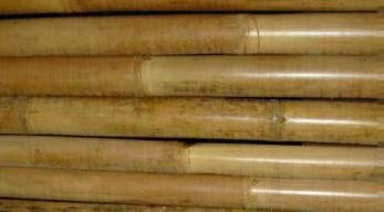 Canna in bambu', Ø20-22 (kit da 10)