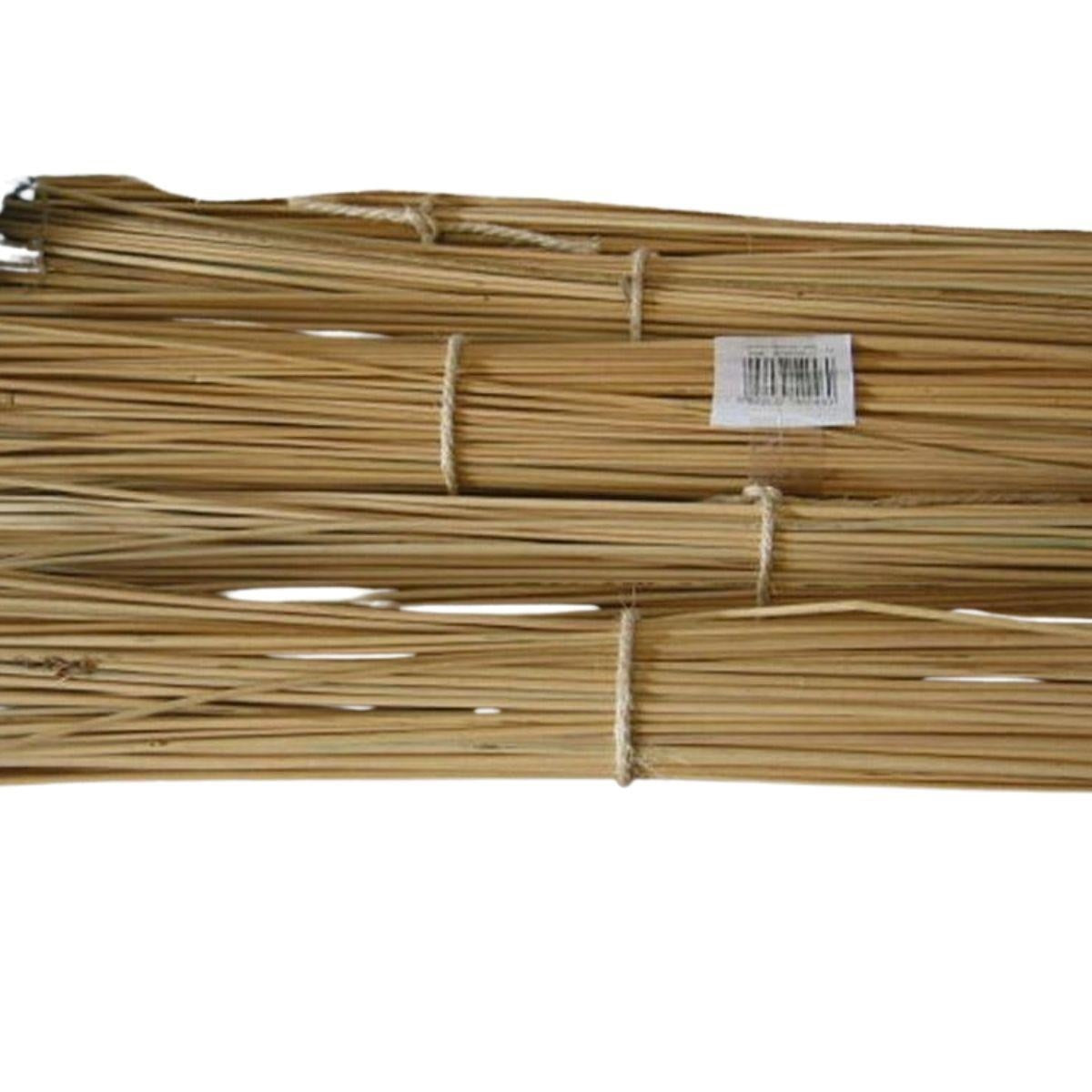 Fascina di giunco naturale, H180 cm (kit da 5)
