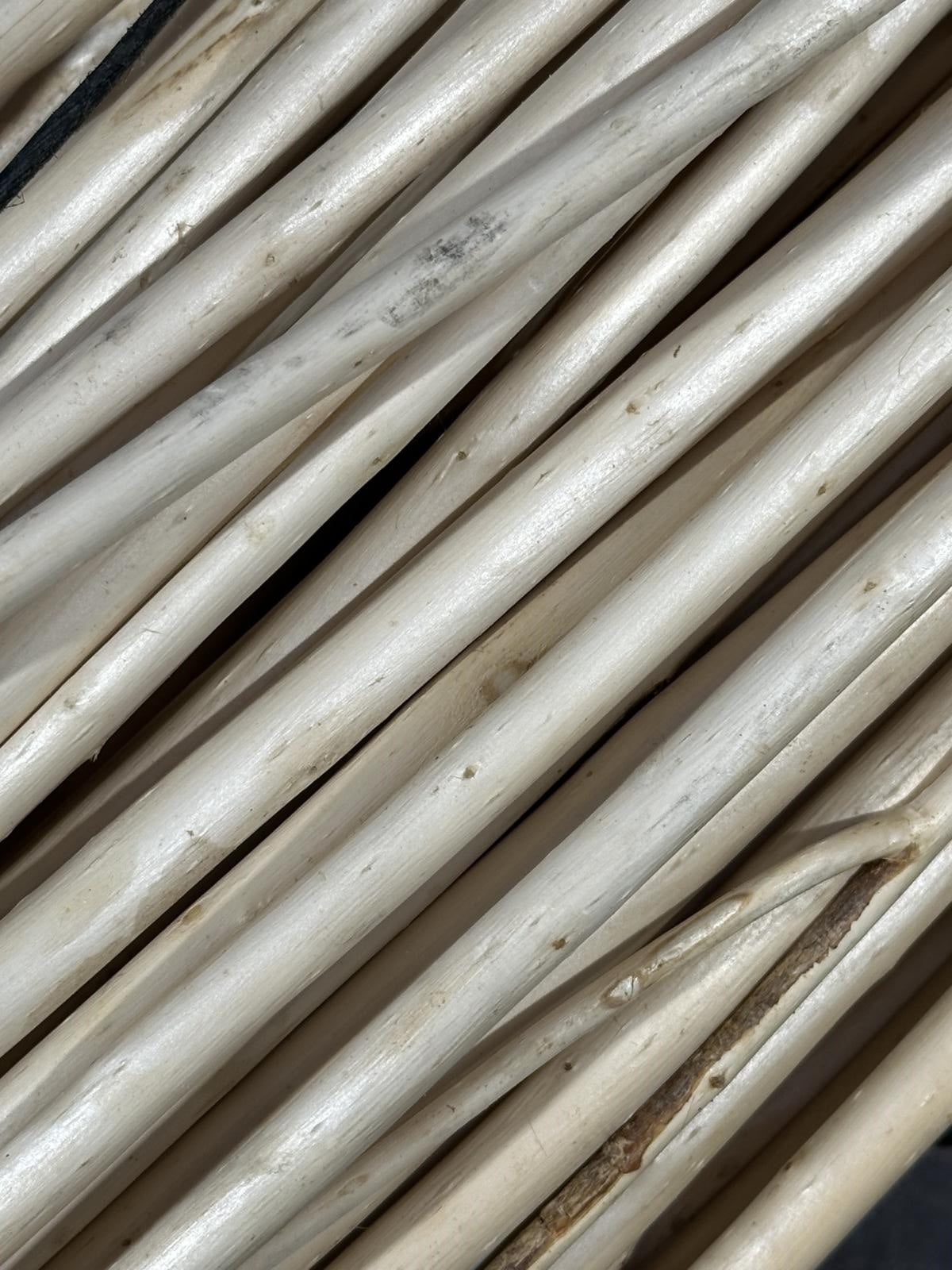 Vimini grosso bianco H230, fasce da 10 kg, prezzo al kg (kit da 5)