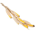 Decorazione a treccia di pannocchie e rafia, H65 cm (kit da 5)