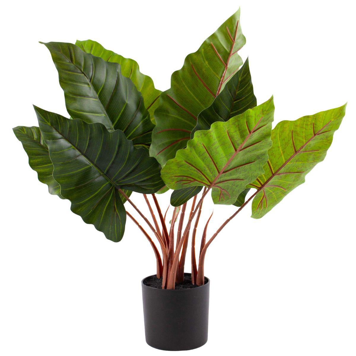 Pianta artificiale Colocasia H55