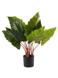Pianta artificiale Colocasia H55