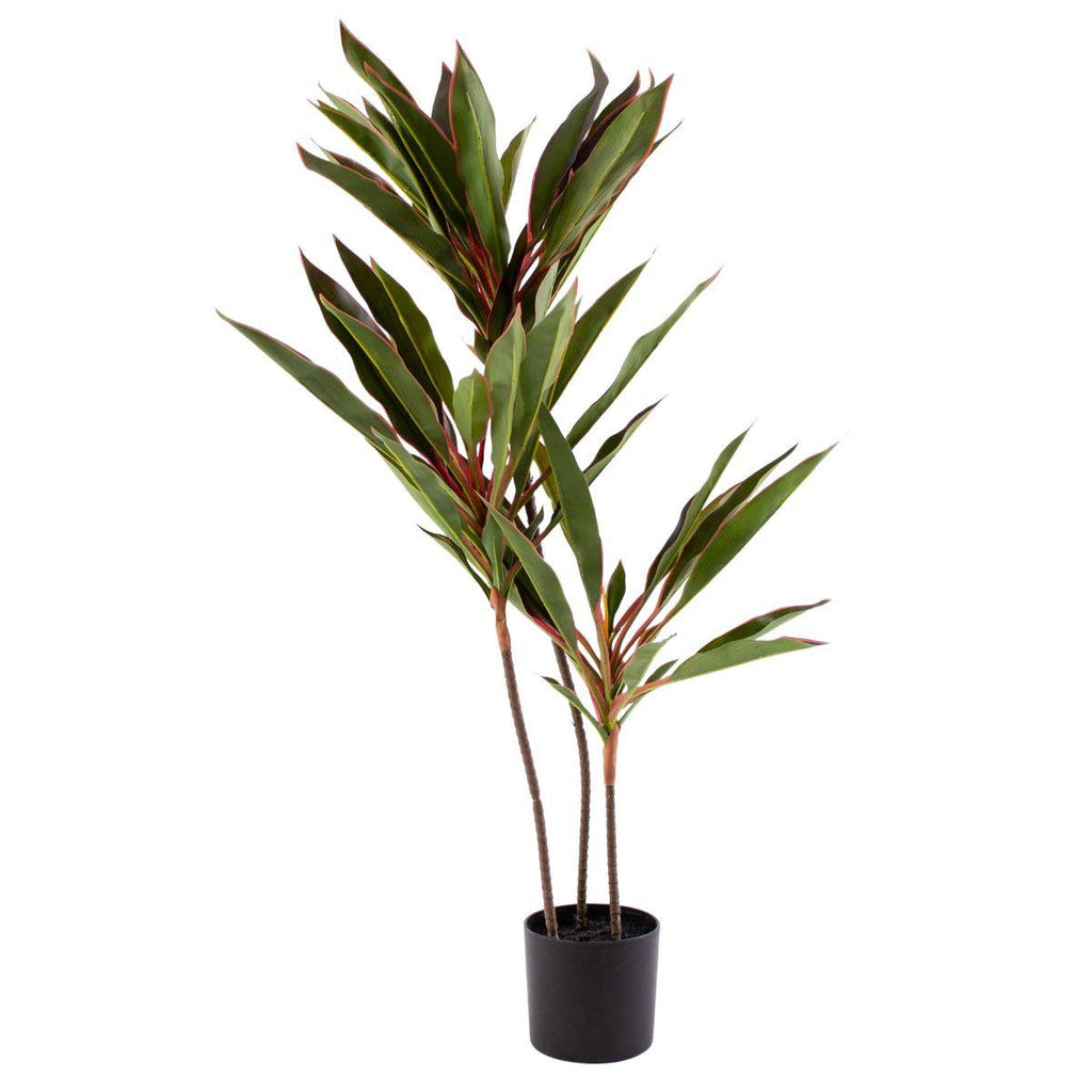 Pianta artificiale Dracaena H95
