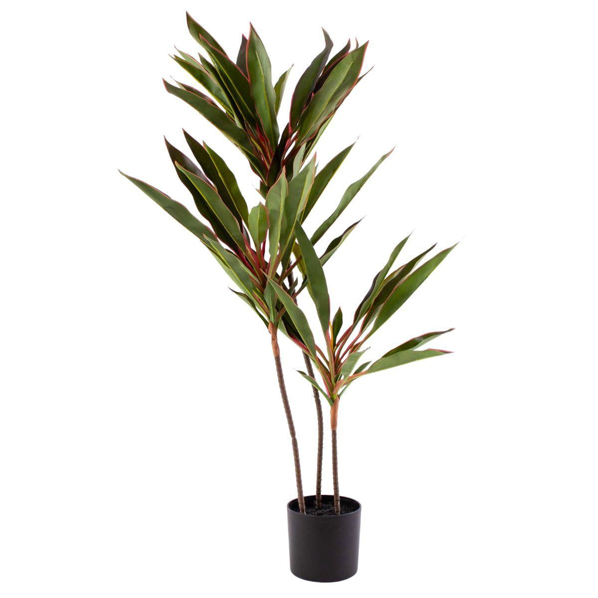 Pianta artificiale Dracaena H95