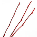 Bambù decorativo rosso, 200 cm