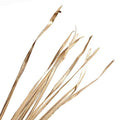 Foglie decorative in palma dorata, H150 cm, confezione da 10 (kit da 3)