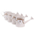 Portavasi in latta a innaffiatoio, set di 4, Ø11H11 cm (kit da 3)