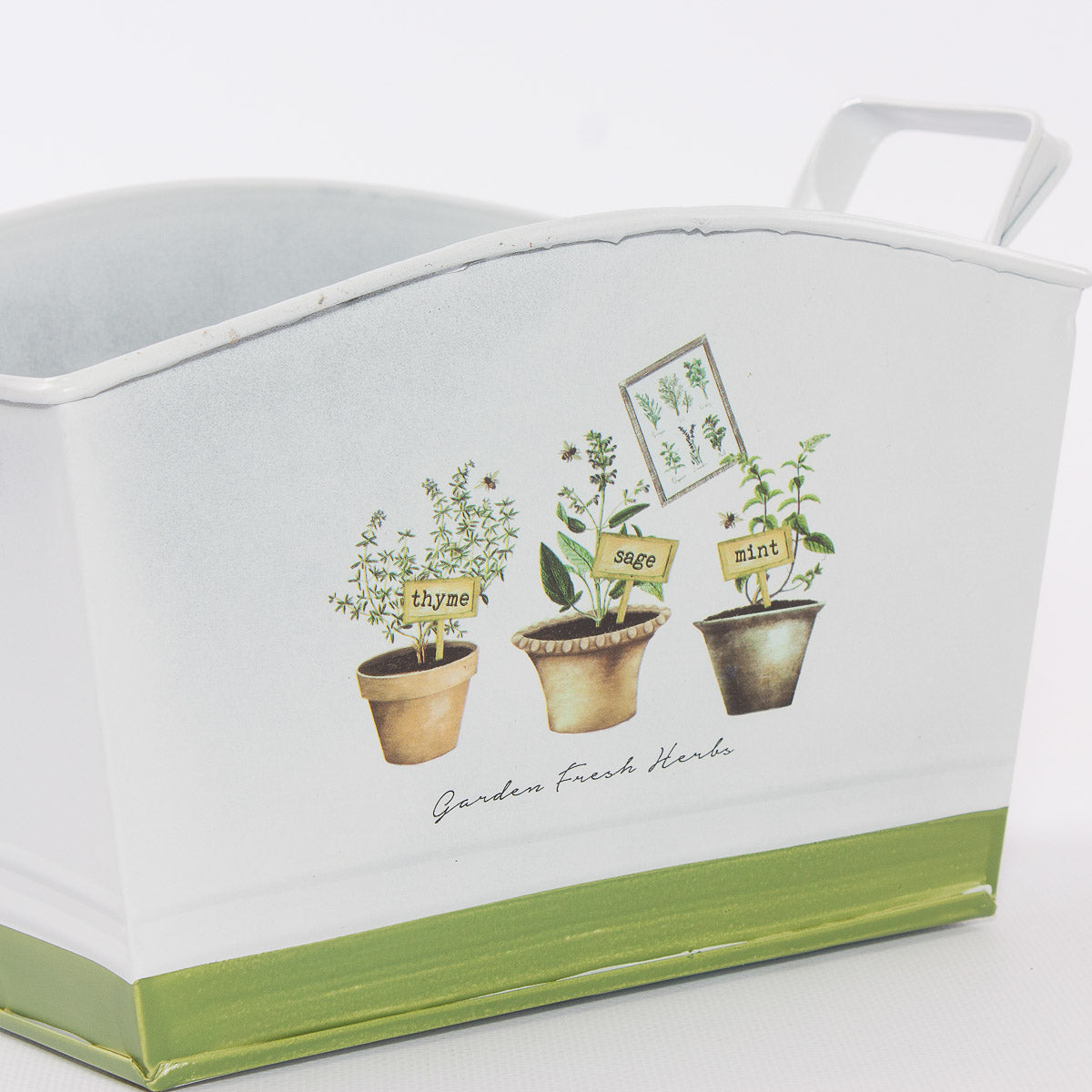 Vaschetta in latta Fresh Herbs, 21x15x14 cm (kit da 5)