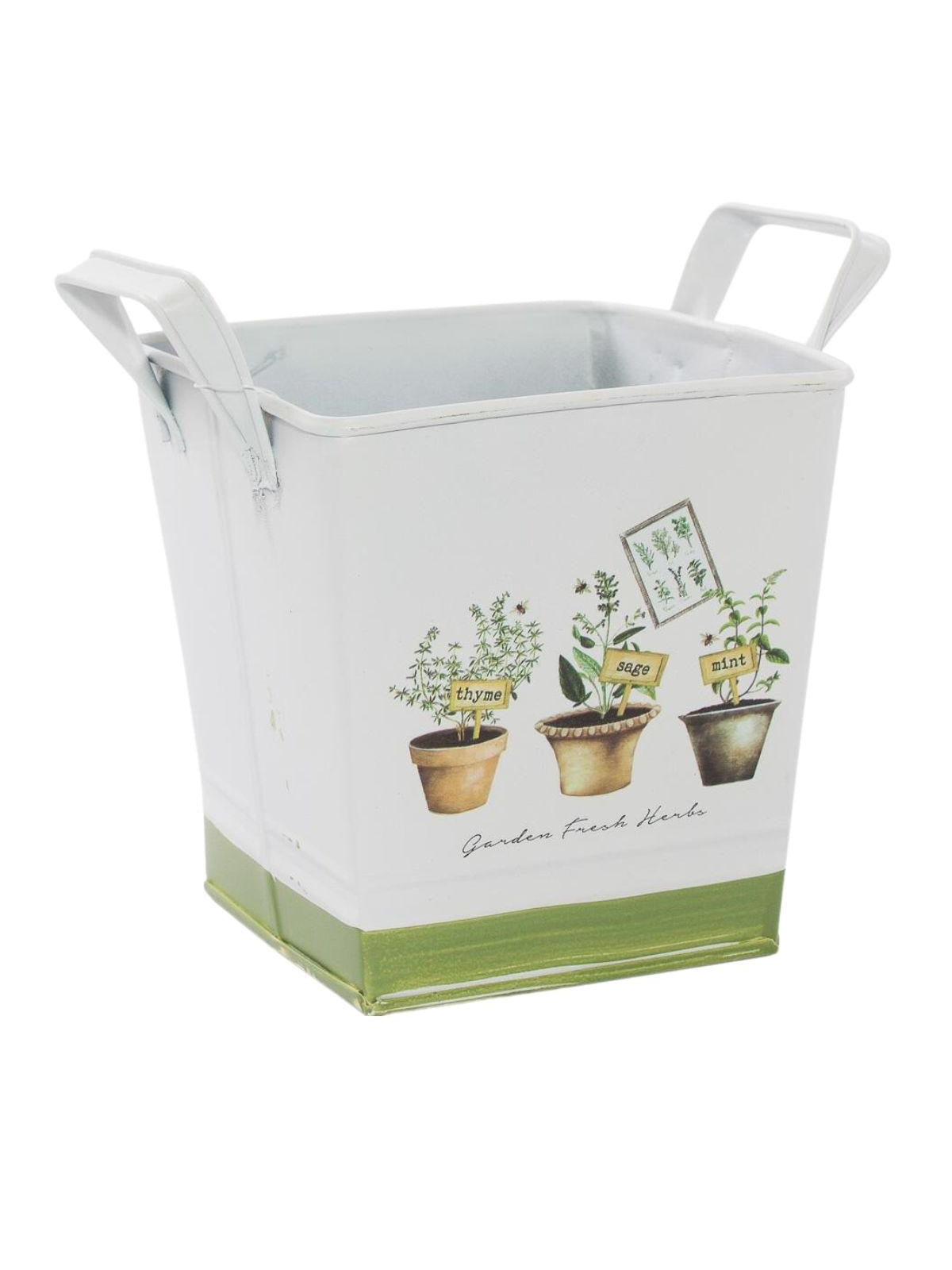 Vaschetta in latta "Fresh Herbs", 14X14H14 cm (kit da 5)