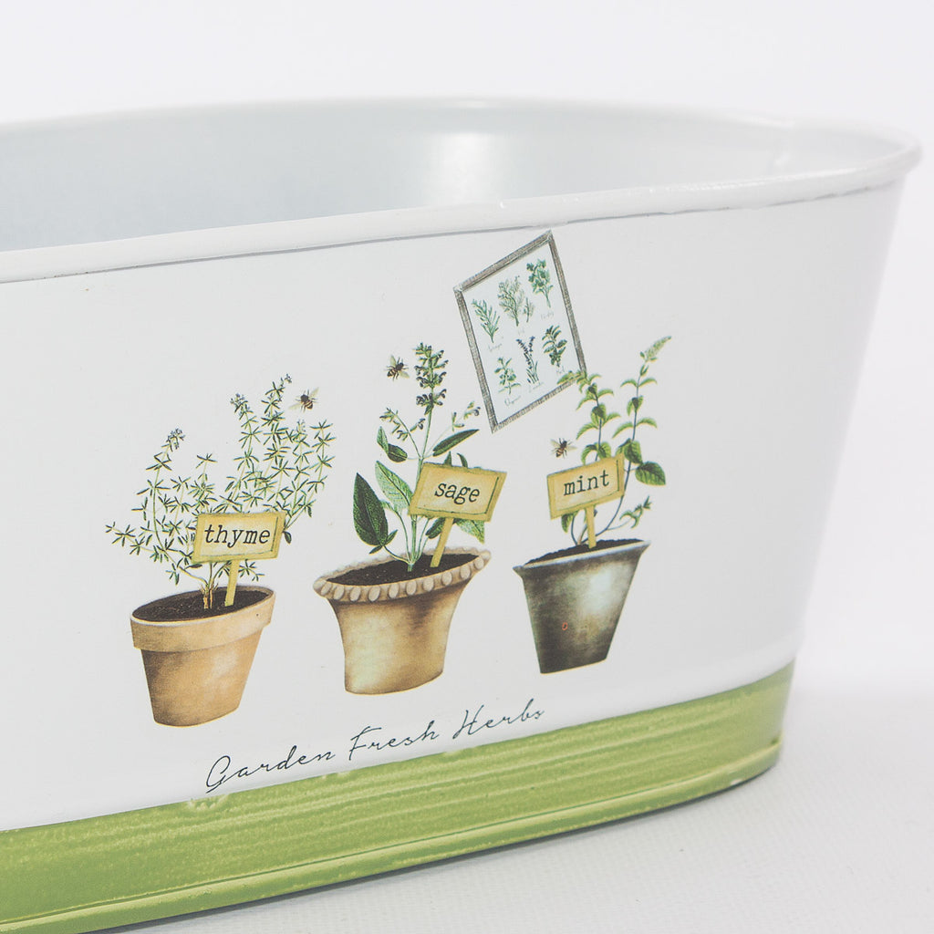 Vaschetta in latta Fresh Herbs, 25x15x10 cm (kit da 5)