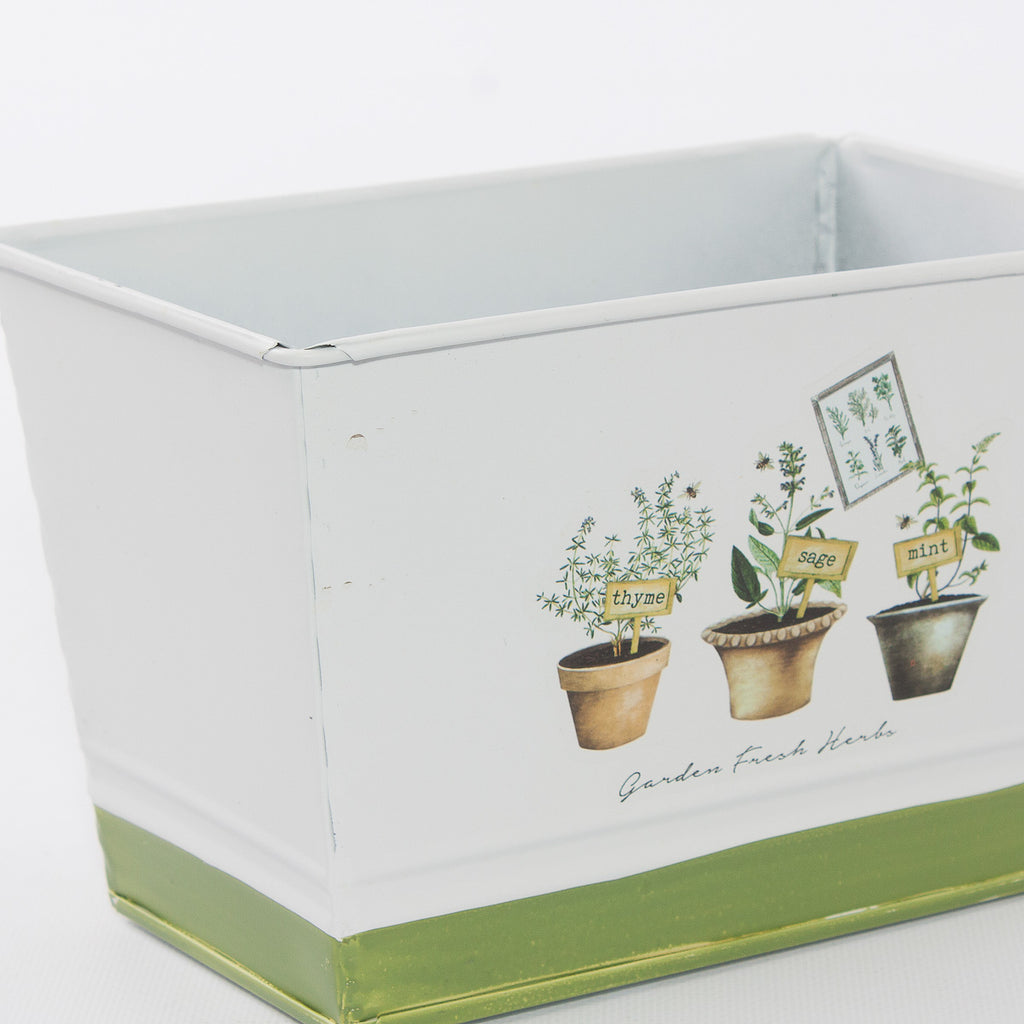 Vaschetta portavaso in latta Fresh Herbs, 20,5x12,5H13 cm (kit da 10)