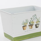 Vaschetta portavaso in latta Fresh Herbs, 20,5x12,5H13 cm (kit da 10)