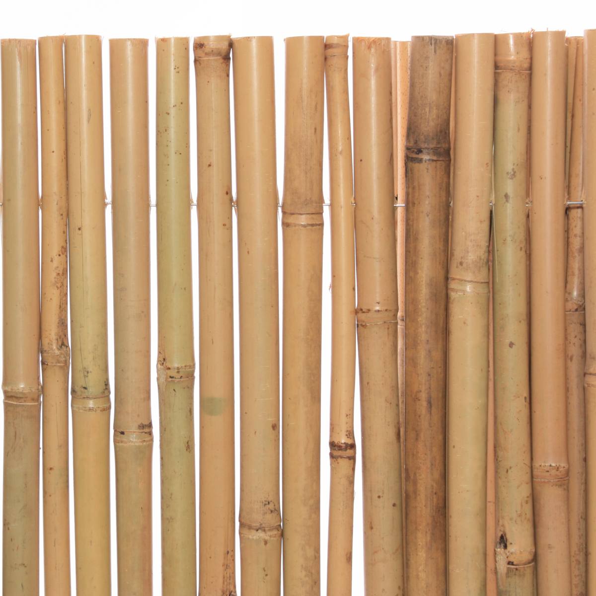 Stuoia in canna di bambù con filo, 150x300 cm