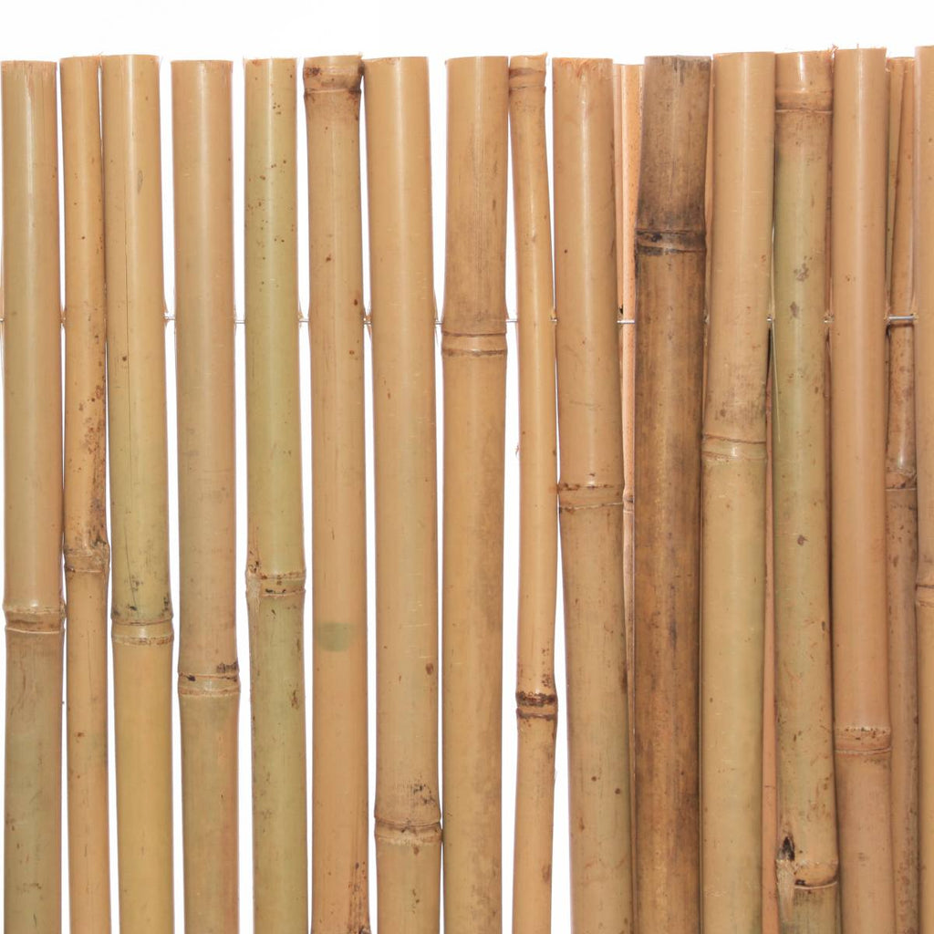 Stuoia in canna di bambù con filo, H250x300 cm