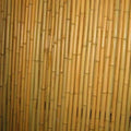 Stuoia in canna di bambu' con filo, H100x300 cm