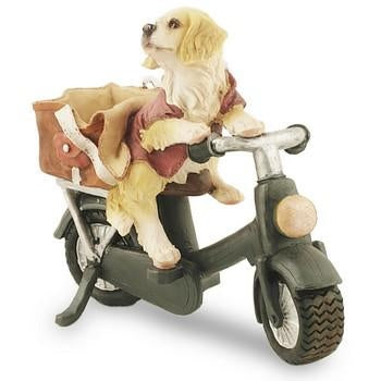 Cane moto resina