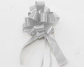 Fiocco argento opaco in pvc 19 mm, confezione da 50 (kit da 10)