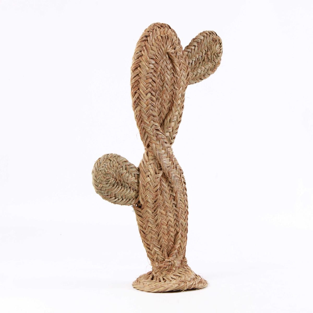 Cactus decorativo in giunco, H80 cm