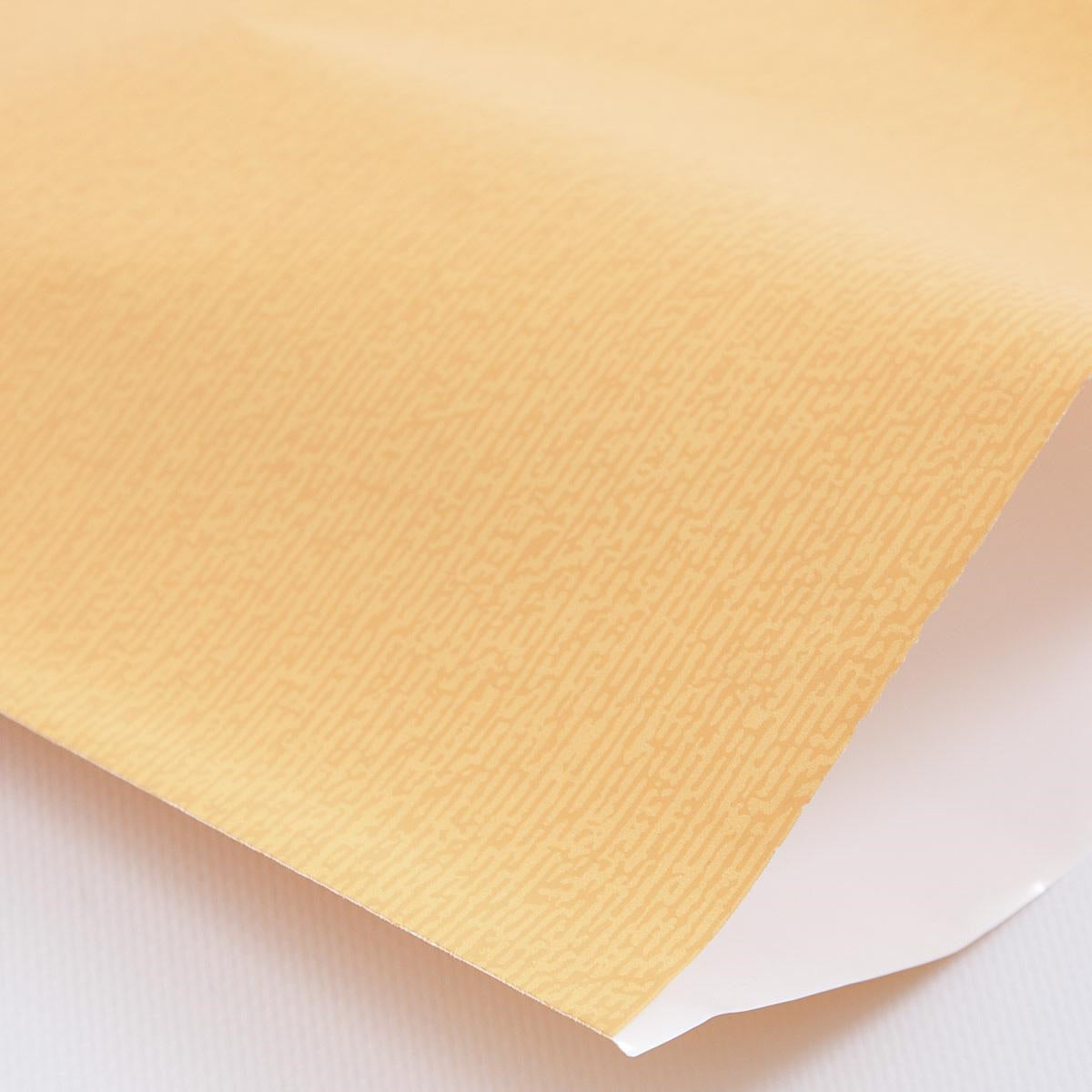 Busta in carta arancione 15x25 cm, confezione da 50 (kit da 5)