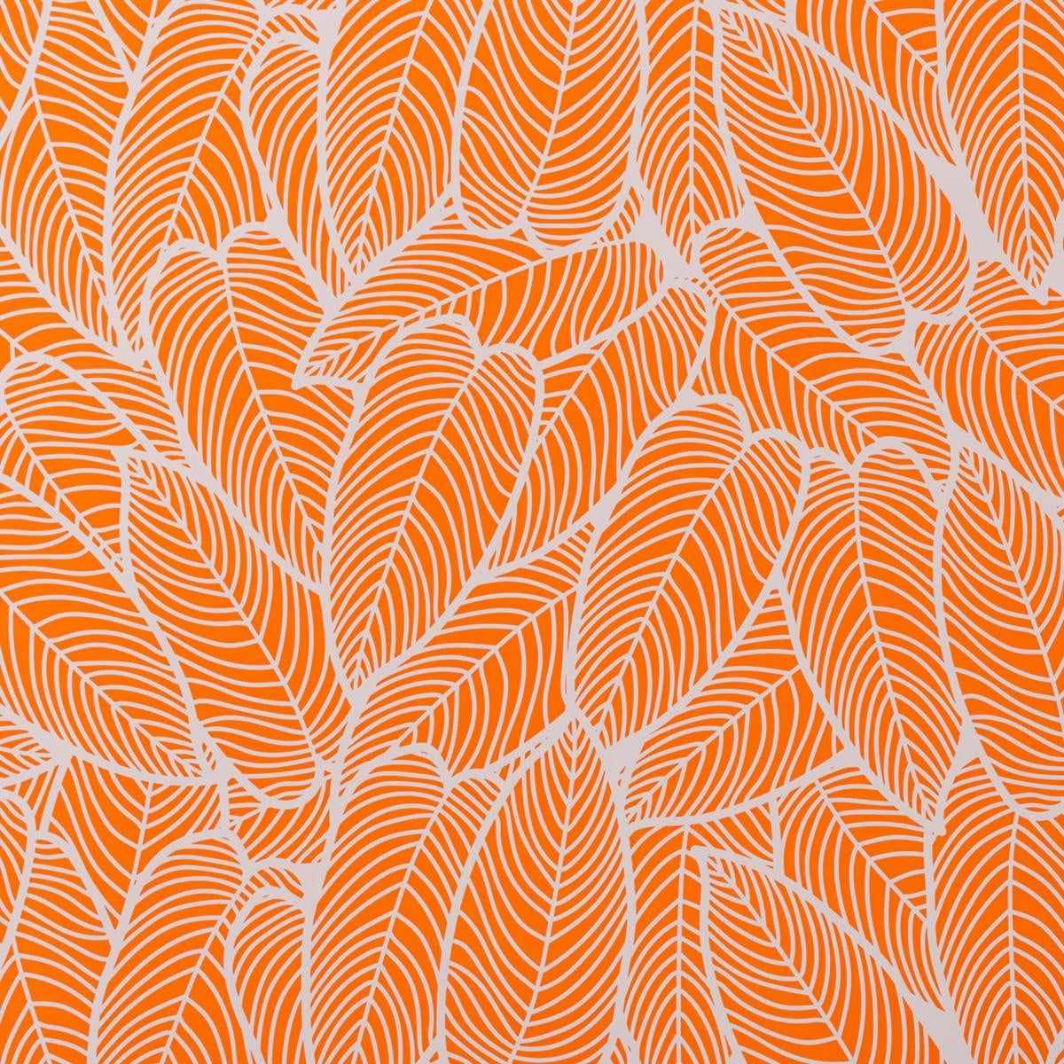 Buste perlate Natura arancio, 35x50 cm, 50 per confezione
