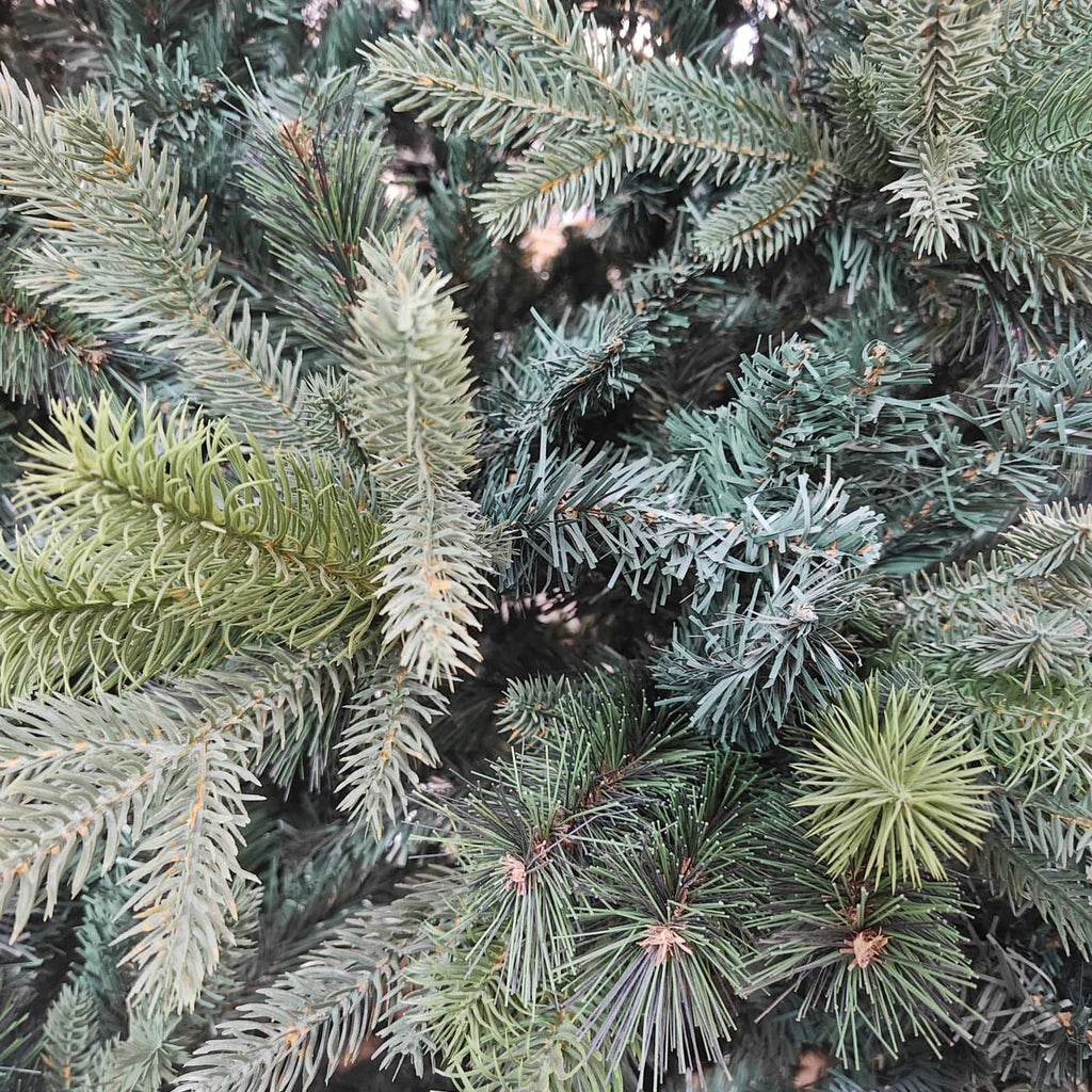 Albero di Natale Clifford, Ø185H270 cm