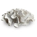 Decorazione spugna di mare bianca, 24x20H10 cm (kit da 3)