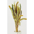 Mazzetto di erba e spighe verde, 68 cm (kit da 10)