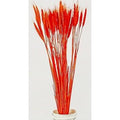 Fiori a spiga arancioni (kit da 10)