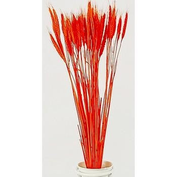 Fiori a spiga arancioni (kit da 10)