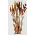 Fiori a spiga oro, 65 cm (kit da 10)