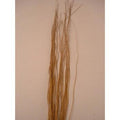 Mazzo naturale dritto, 100 cm (kit da 10)
