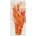 Mazzo steli irregolari arancio, 100 cm