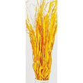 Mazzo steli irregolari gialli, 100 cm