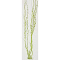 Mazzo salici perle verde x mazzo, 150 cm