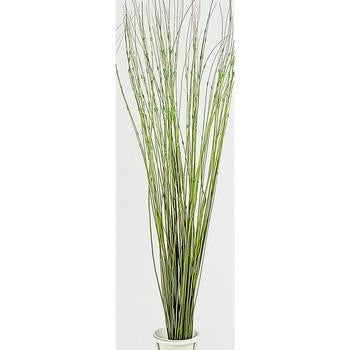 Mazzo ting-ting c.perle ver *maz, 80 cm