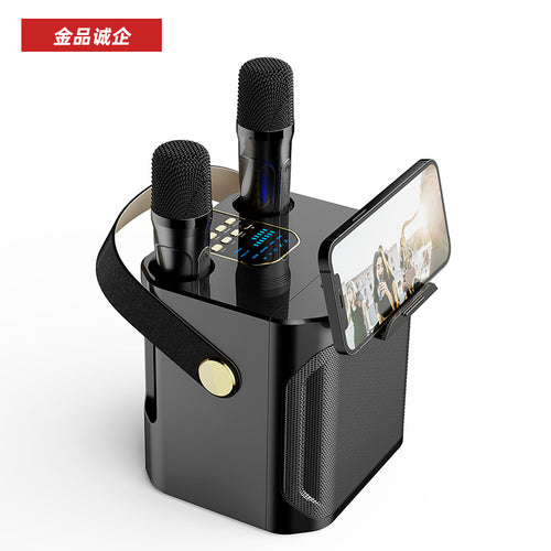 Cassa Bluetooth karaoke con microfono senza fili