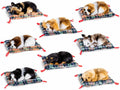 Cane decorativo in finto pelo che dorme sul cuscino. Assortito in 8 modelli, set da 8 pezzi, Cane: cm 11 x 7 x 4,5 H