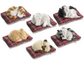Gatti decorativi in finto pelo addormentati sul cuscino, set da 6 pezzi, Gatto: cm 8 x 6 x 4 H