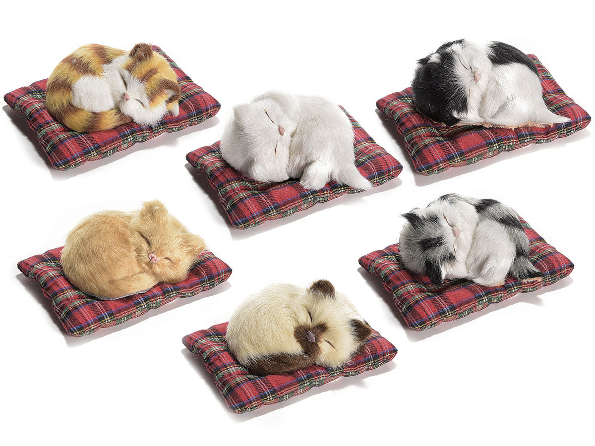 Gatti decorativi in finto pelo addormentati sul cuscino, set da 6 pezzi, Gatto: cm 8 x 6 x 4 H