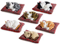 Gatti decorativi in finto pelo addormentato sul cuscino, set da 6 pezzi, Gatto: cm 14 x 11 x 6 H