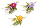 Mazzolini / pick / chiudipacco con margherite colorate, foglie e bacche, set da 24 pezzi, cm 12 H (con gambo 17)